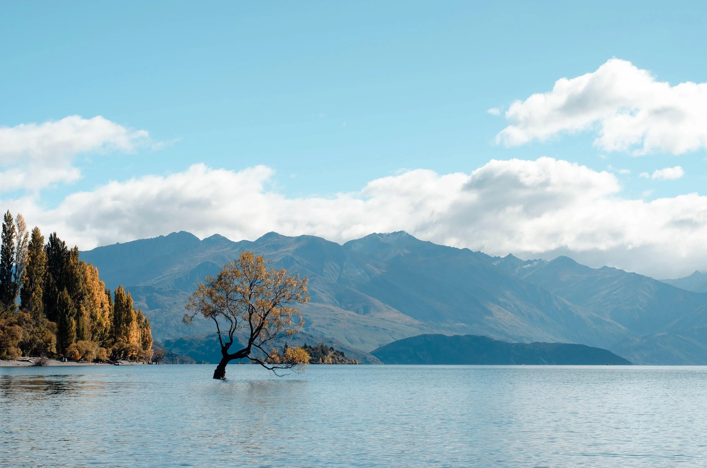 Lake Wanaka.jpg