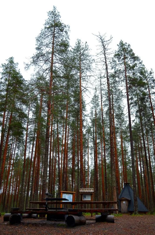 Pitkäjärven kota.