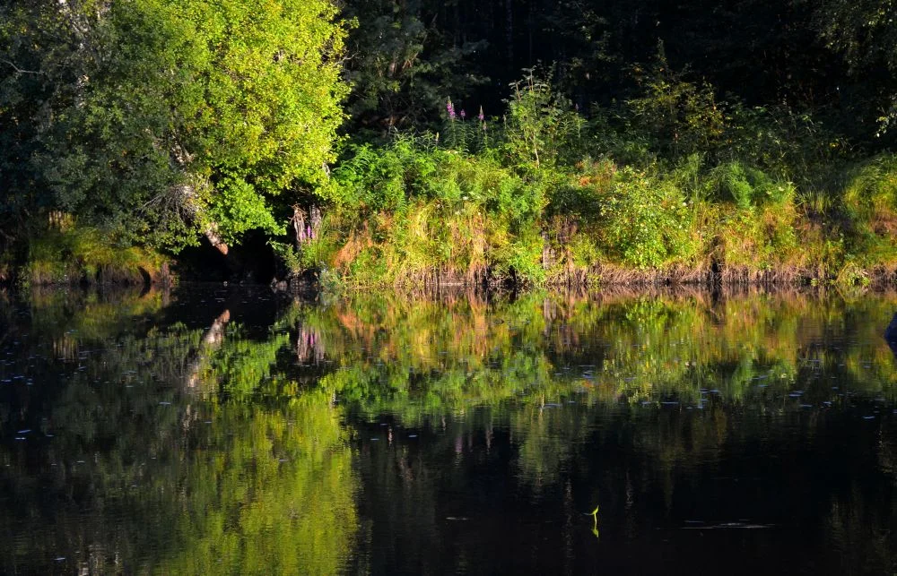 alakauvatsanjoki.jpg