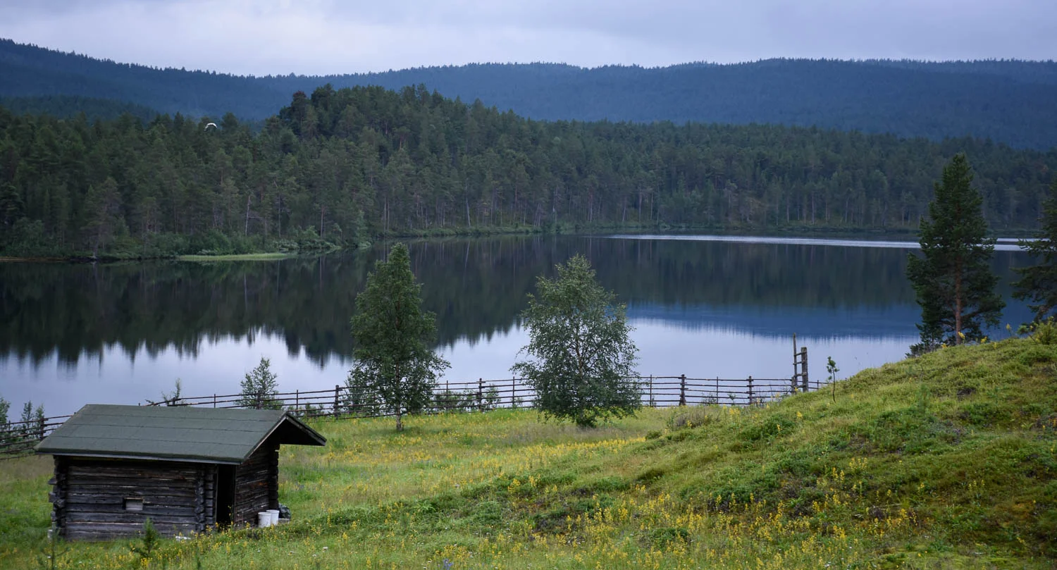 Kaapin Jounin tila kesällä.
