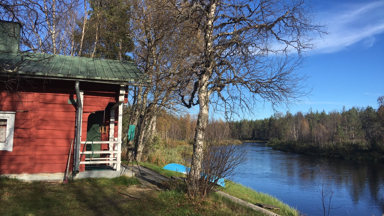 Kemihaaran koukkaus