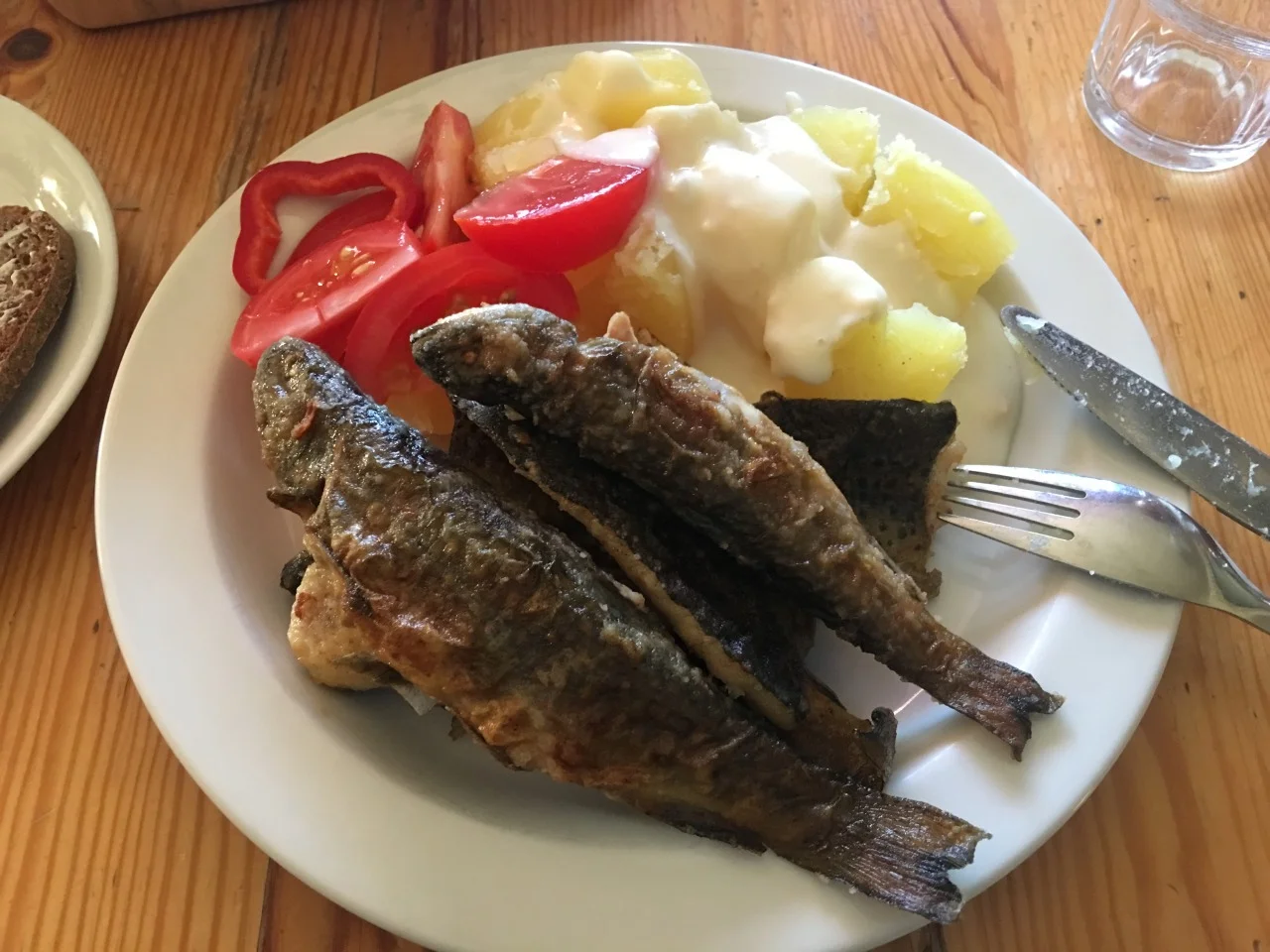 Kala-ateria.jpg