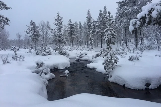 Sauvakävelyä jalan, suksin ja lumikengin