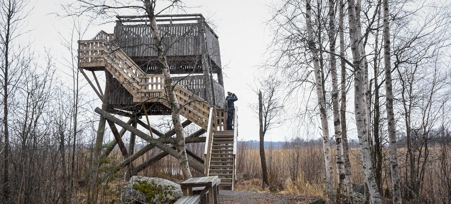 Siikalahden lintutorni ja keväinen harmaus.