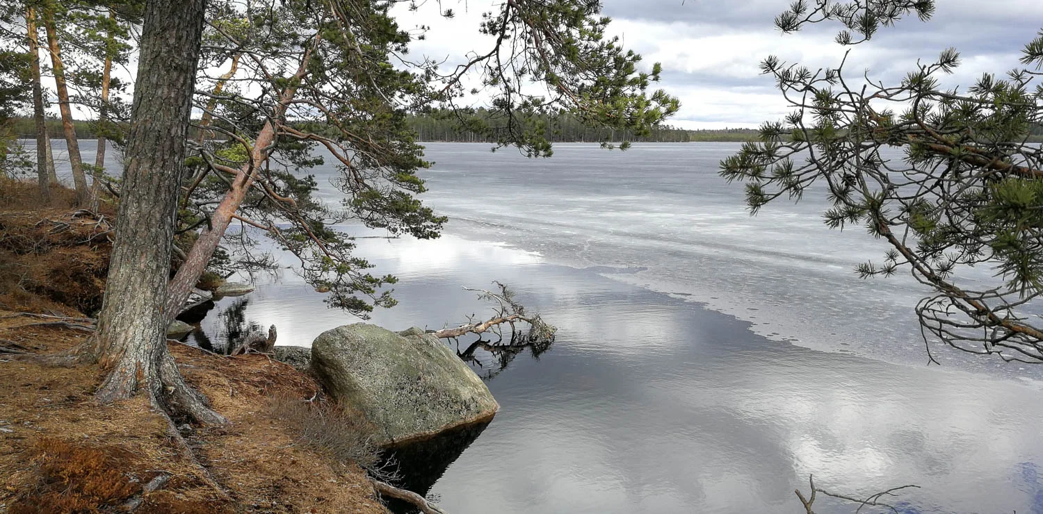Rantajäät ovat jo sulaneet.