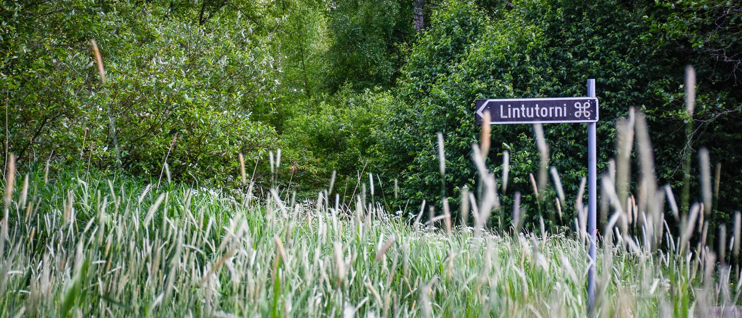 Lintutorni löytyy tuosta suunnasta.