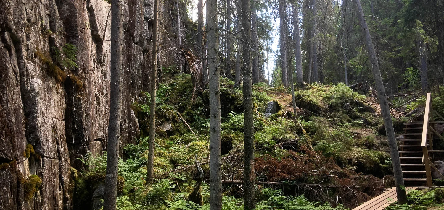 Pystysuora kallio puiden keskellä kuvaa rotkon maisemaa.