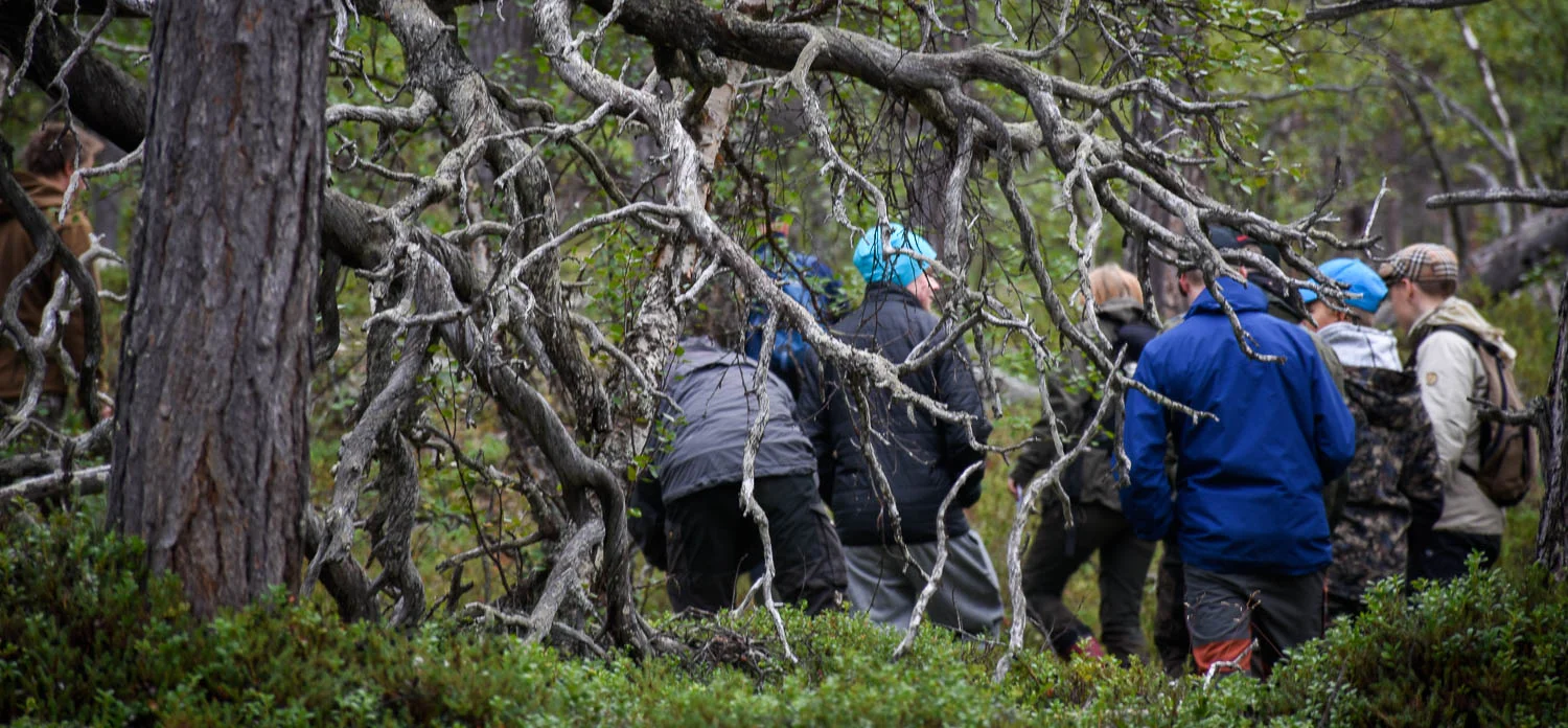 Tulevat luonto-ohjaajat lehtojensuojelualueella.