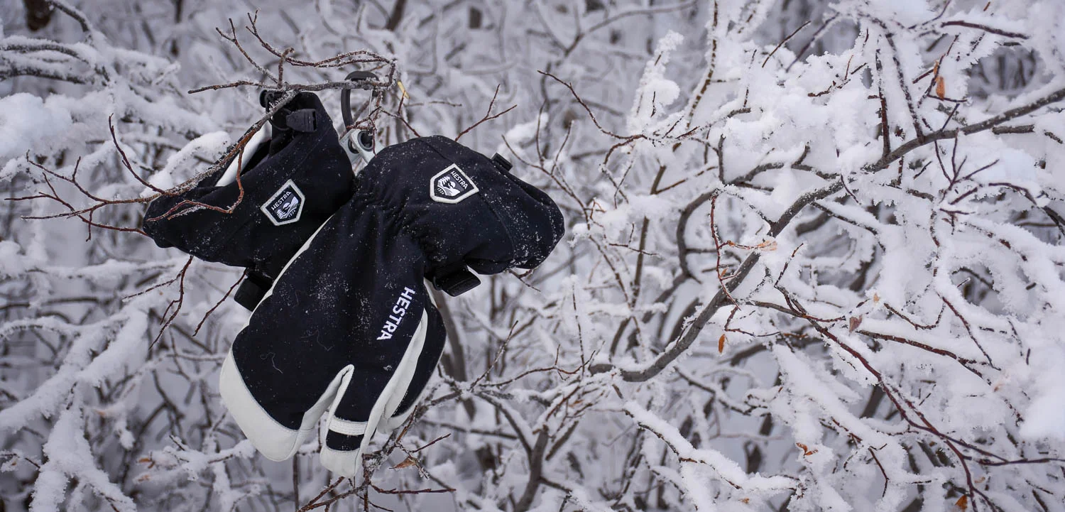 Hestran hanskat elementissään.