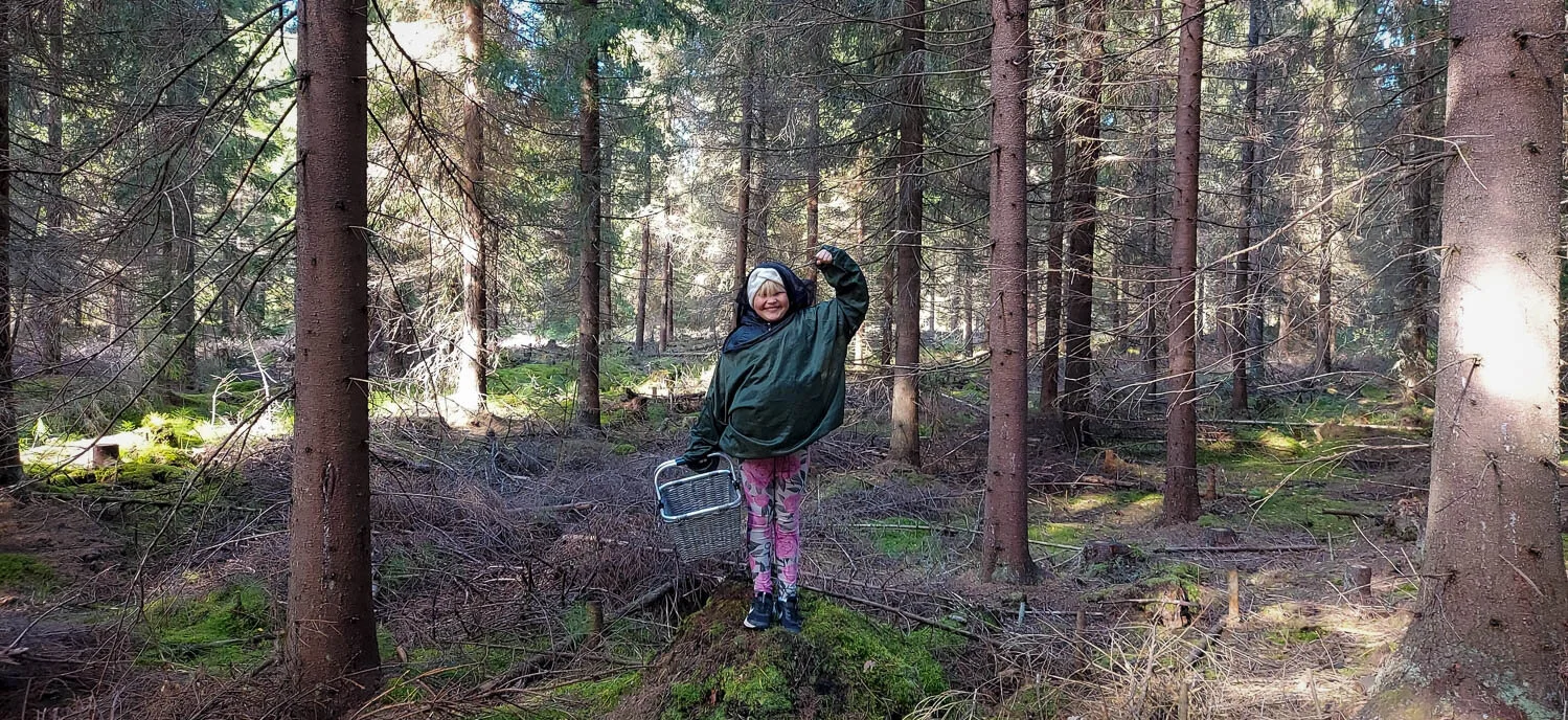 Metsässä vietetty aika on aina mukavaa.