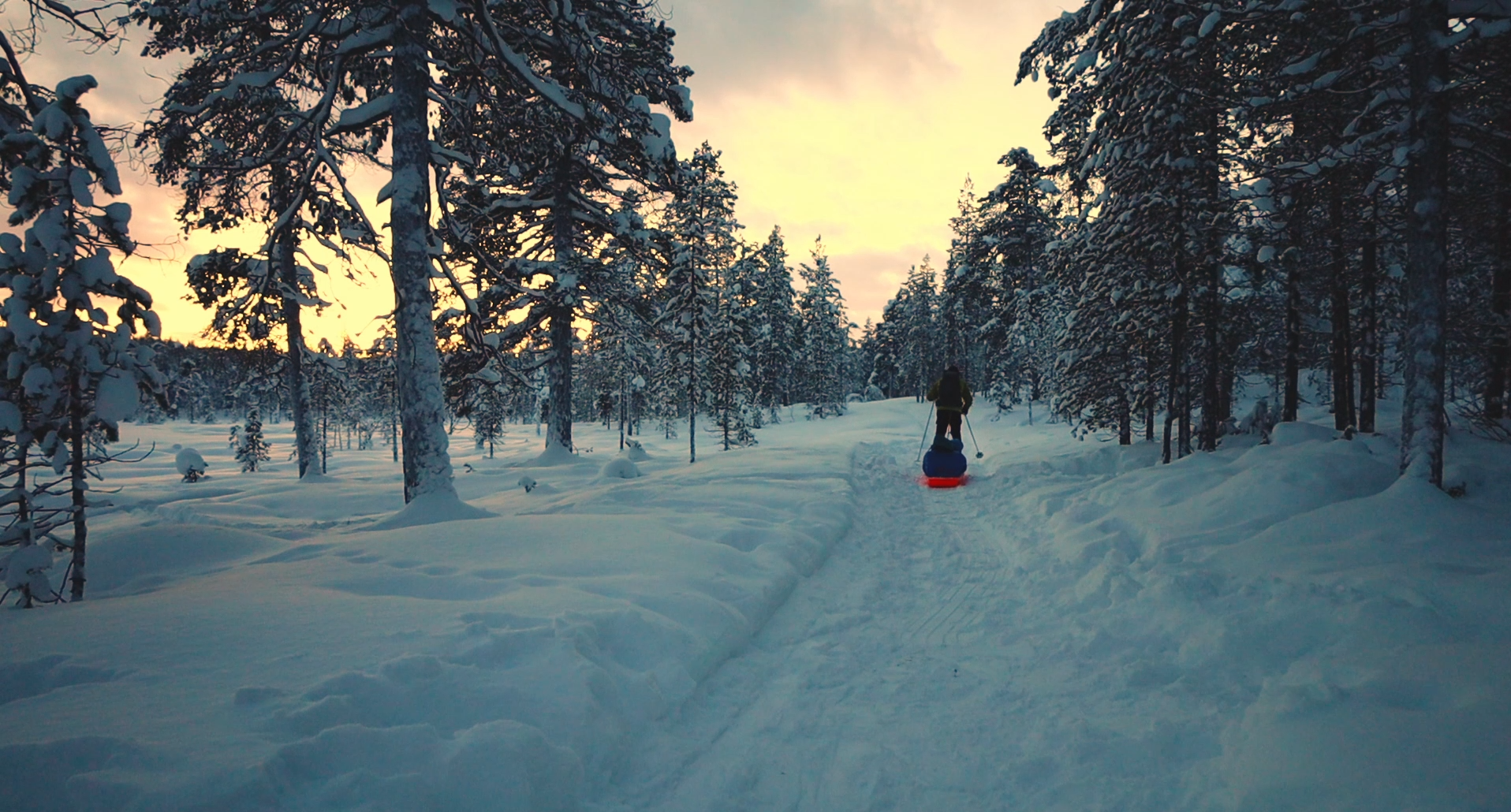 Ismp Landen vetää ahkiota Urho Kekkosen kansallispuistossa.
