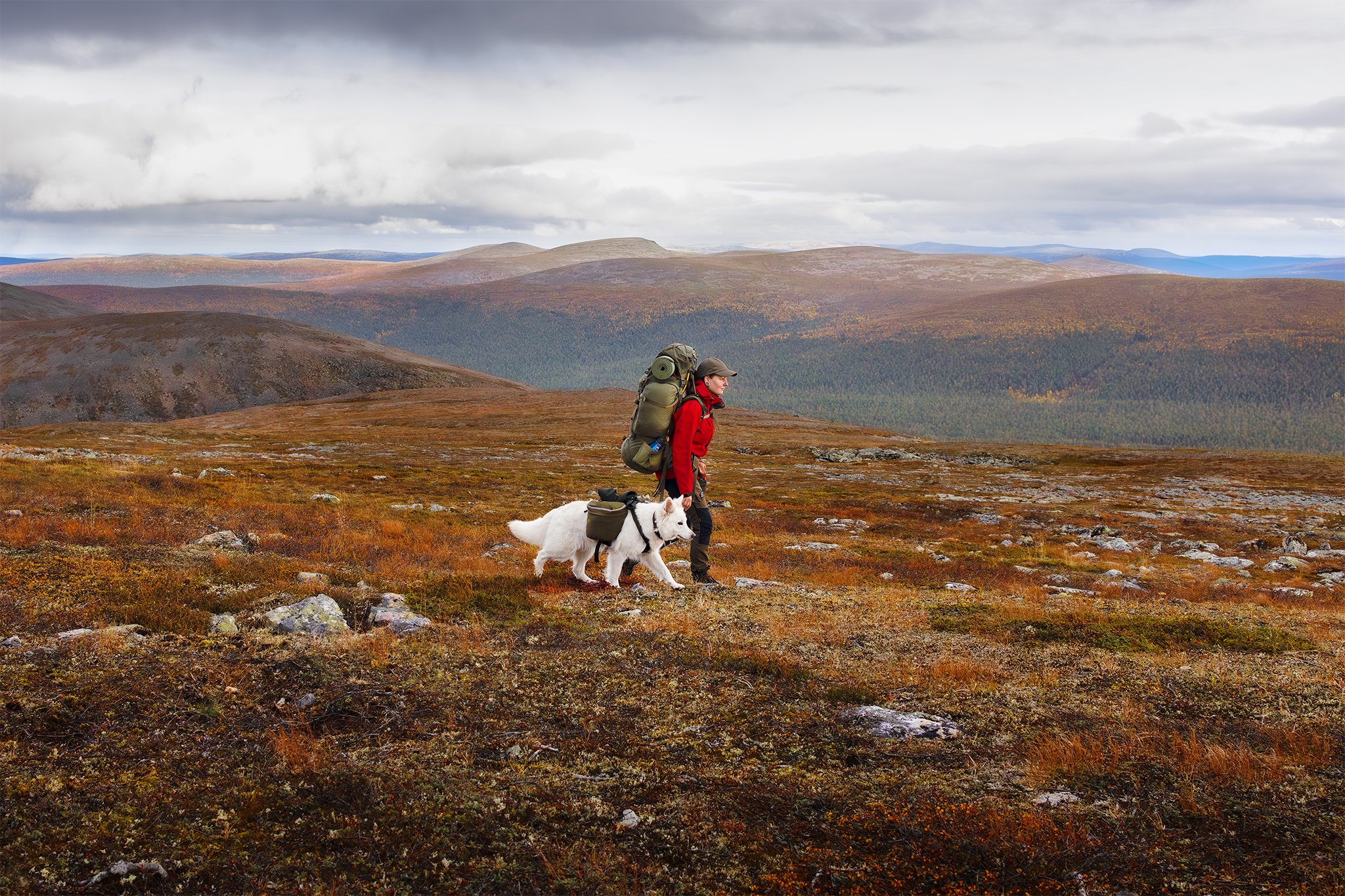Valokuvaaja Ilona Mikkonen vaeltaa Urho Kekkosen kansallispuistossa Kuu-koitansa kanssa.