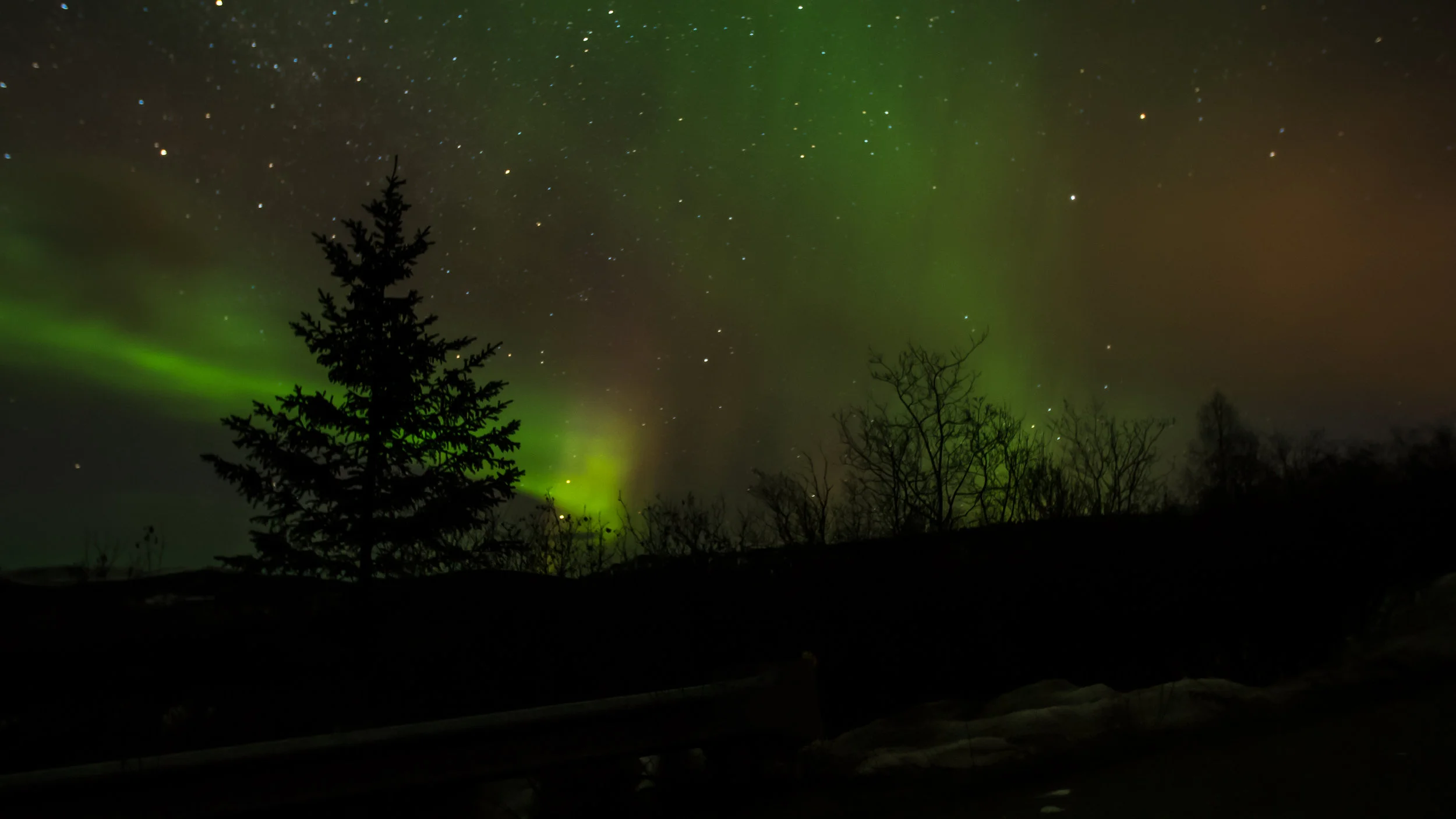 Aurora4.jpg