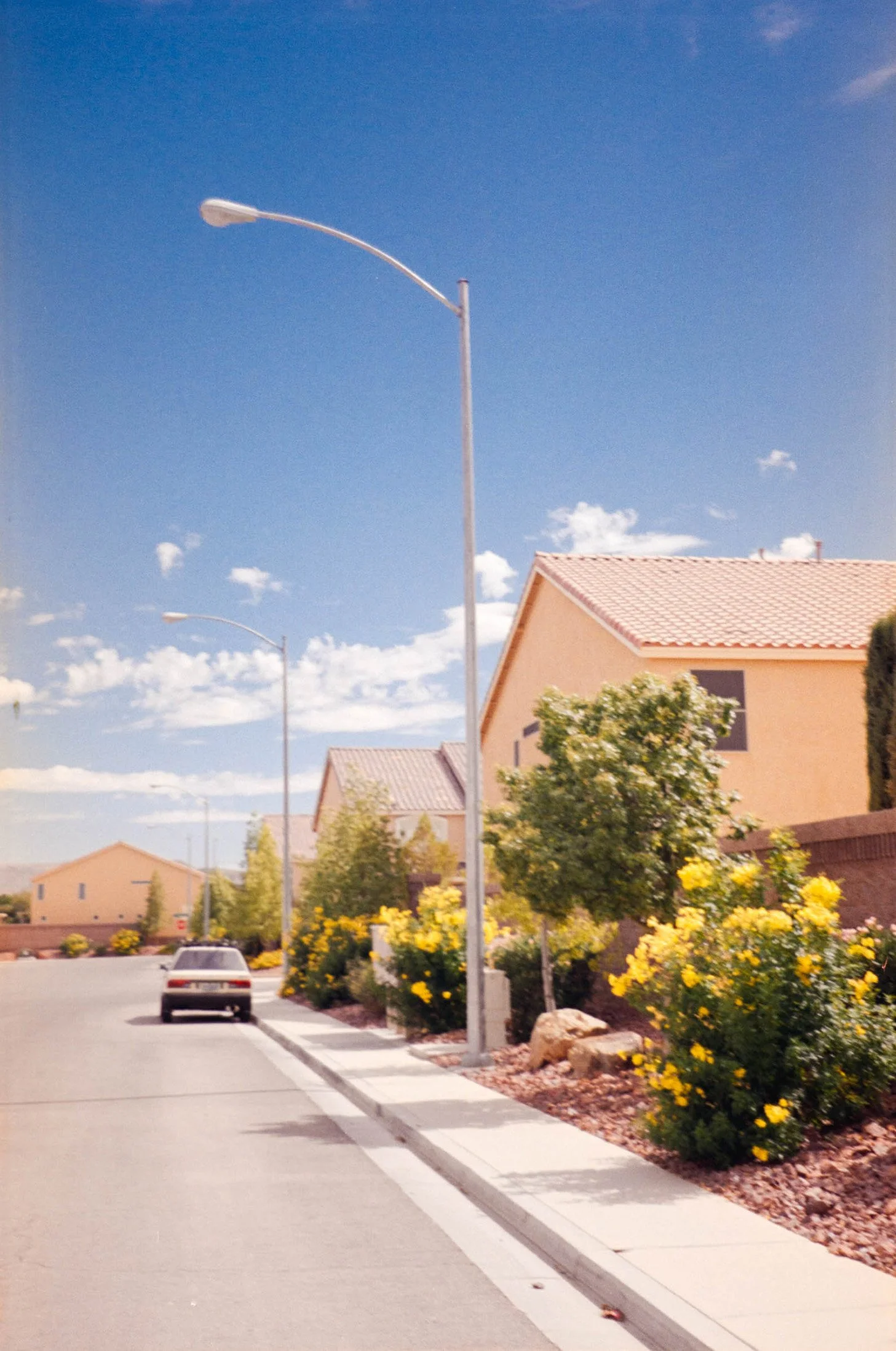 Residential street with sidewalk, streetlights, yellow flowering bushes, and beige houses with red tile roofs.