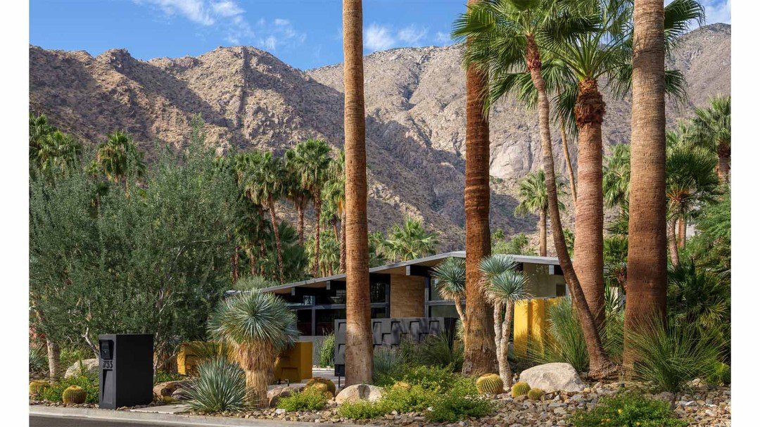 Mid-century make-over: Palm Springs, Ca
Architect: Don Boss AIA
Landscape Architect: Steve Martino FASLA 
Photos: Millicent Harvey

This project just received a 2024 Honor Award from the AZ chapter of the ASLA. The extensive update of this classic 19