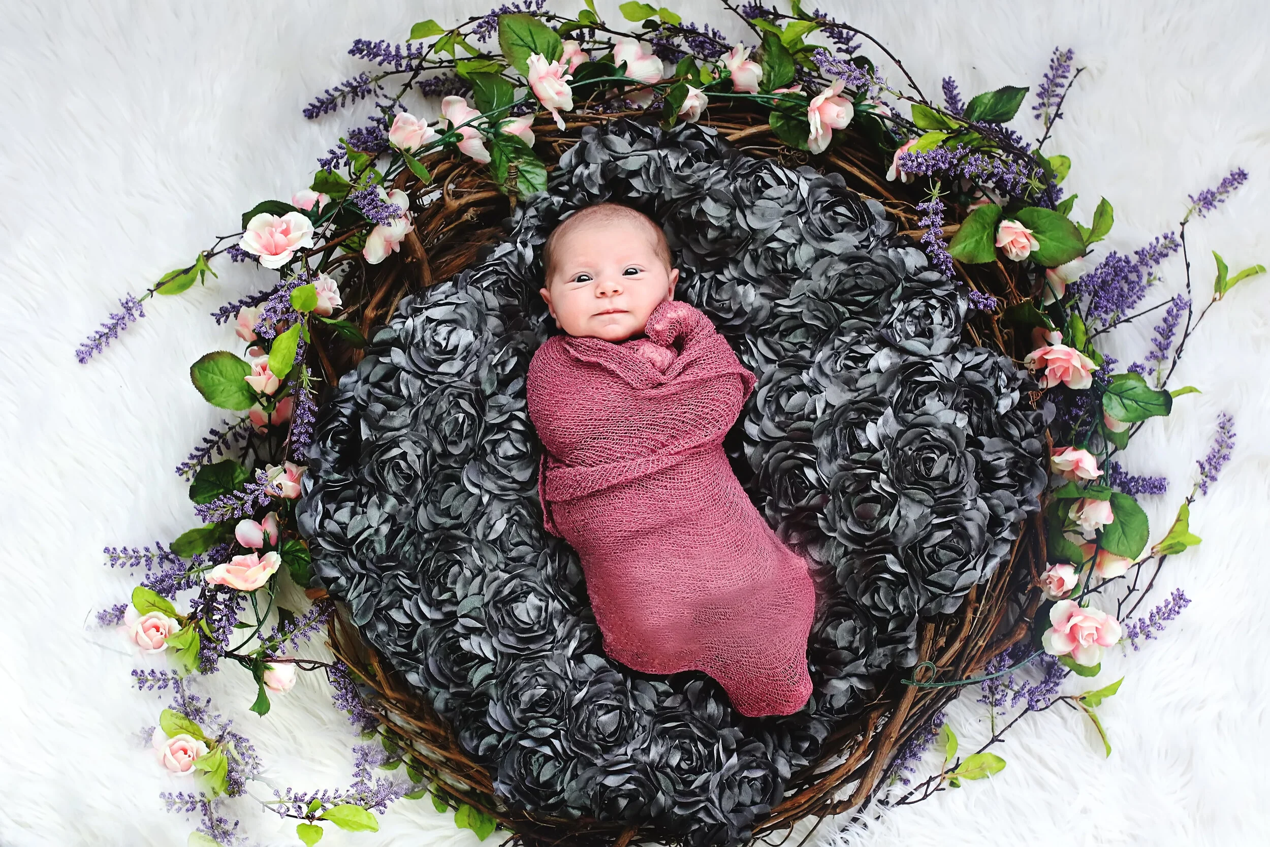 mattawanmiphotographer_kalamazoomiphotographer (285).JPG