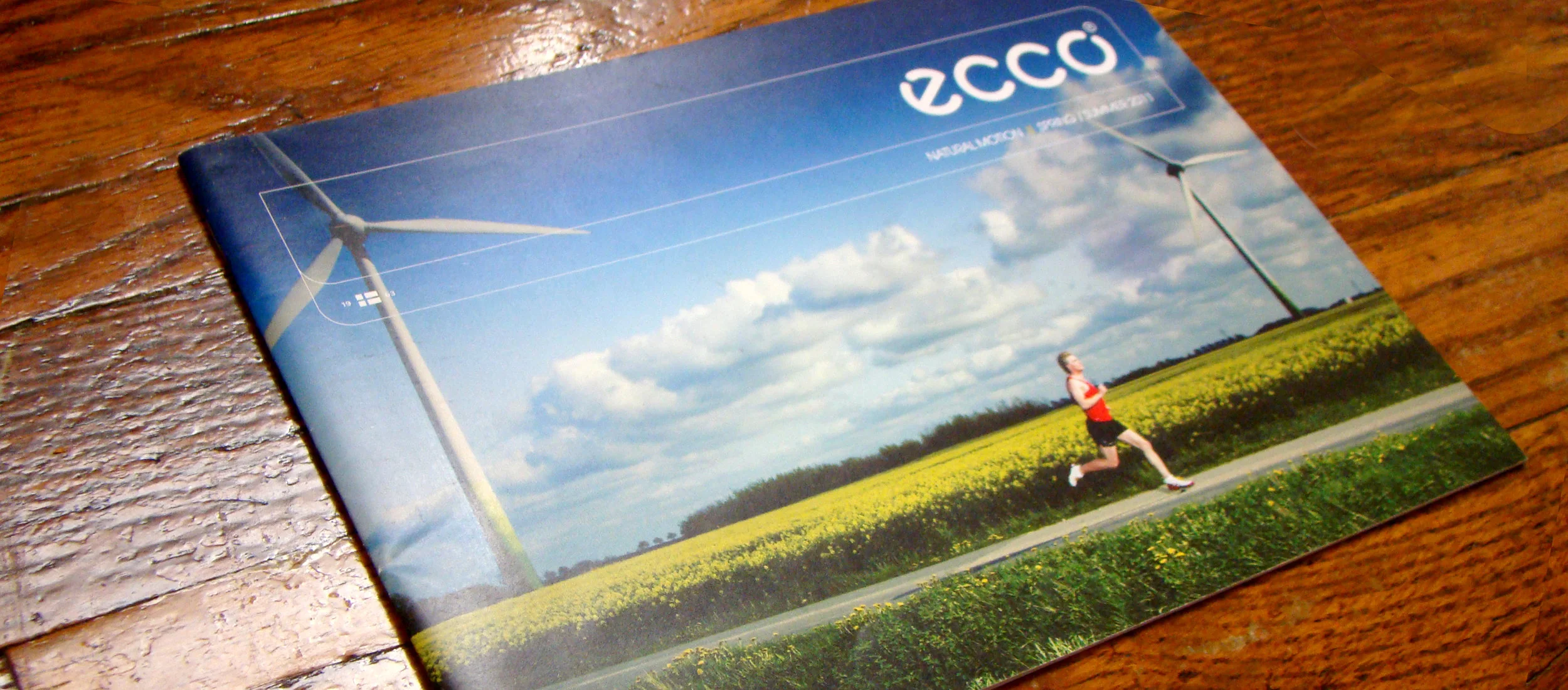 ecco running
