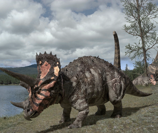 triceratops.gif