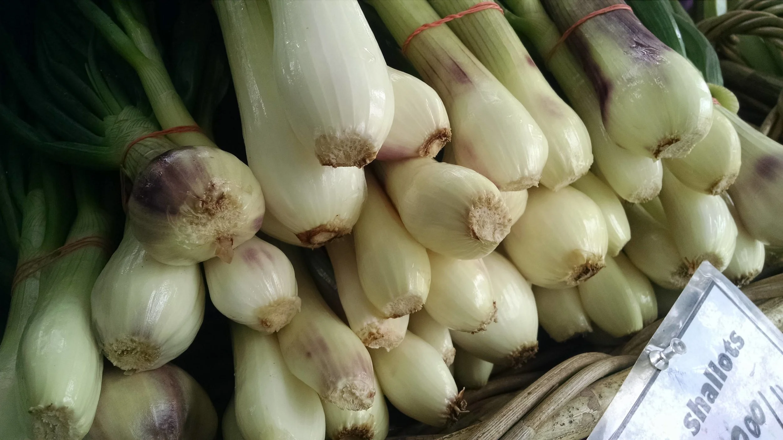 Fresh shallots