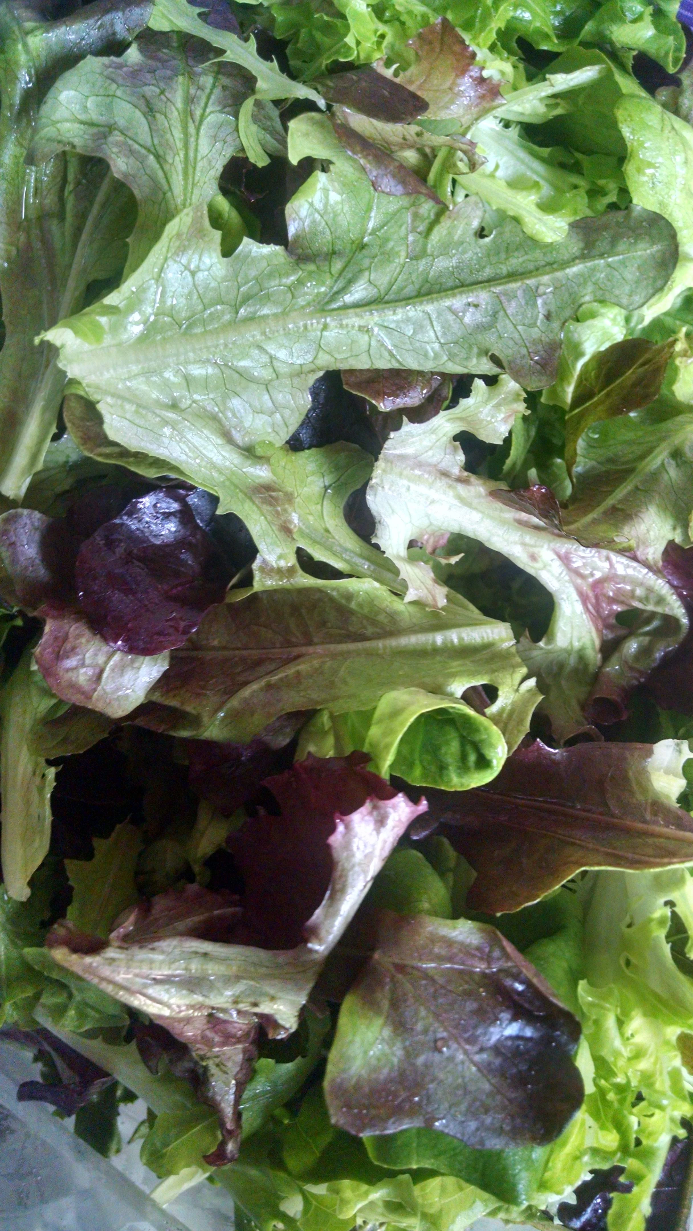 Ready to eat salad mix