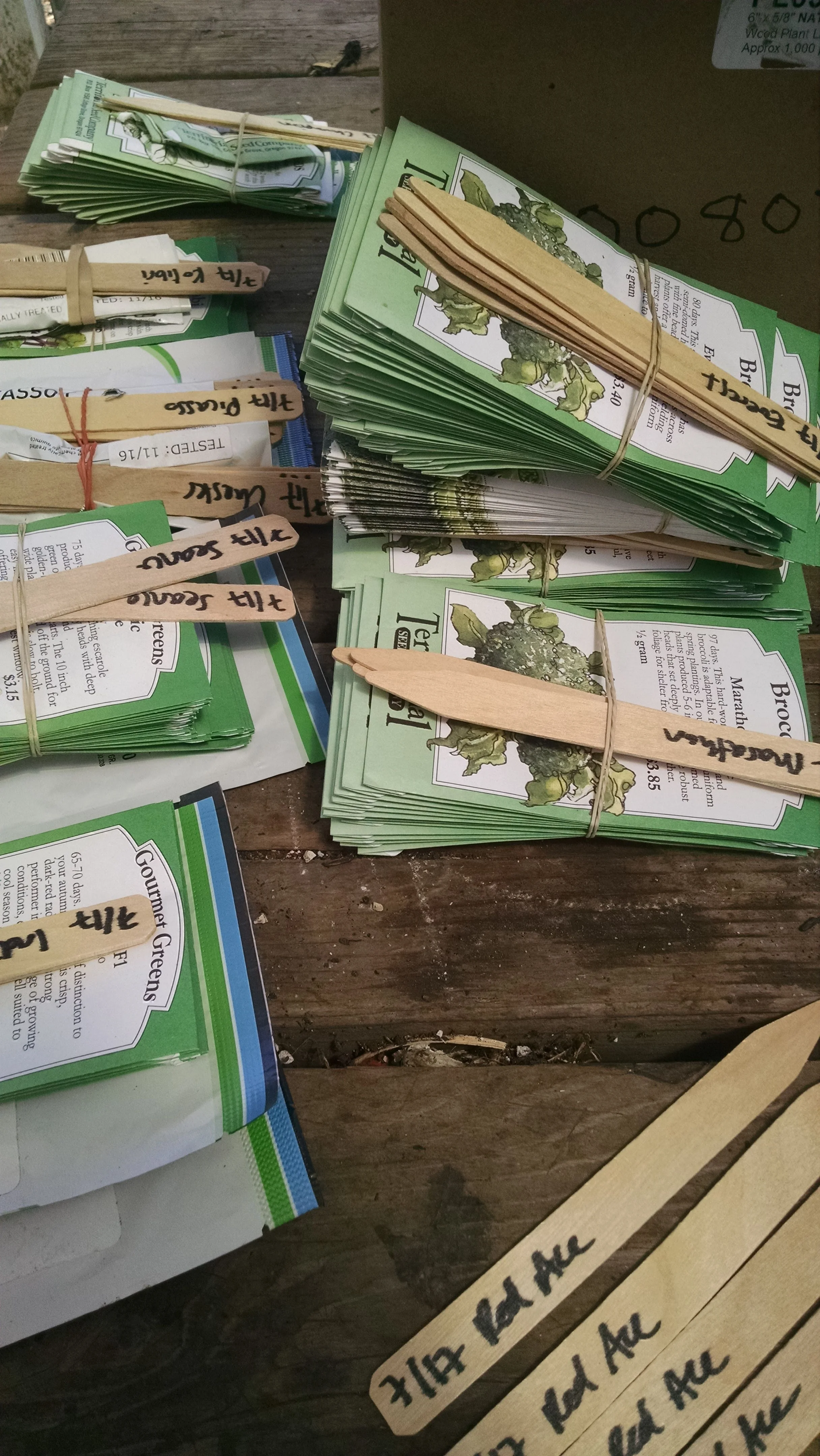 Fall seeding