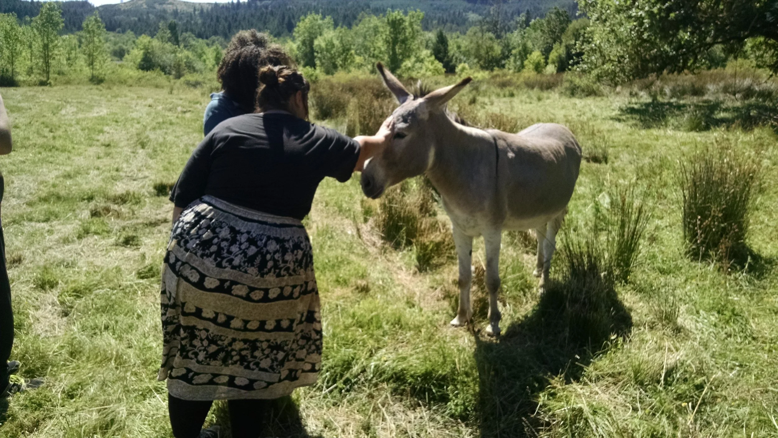Youth farmers meeting Fiona, the resident pregnant donkey