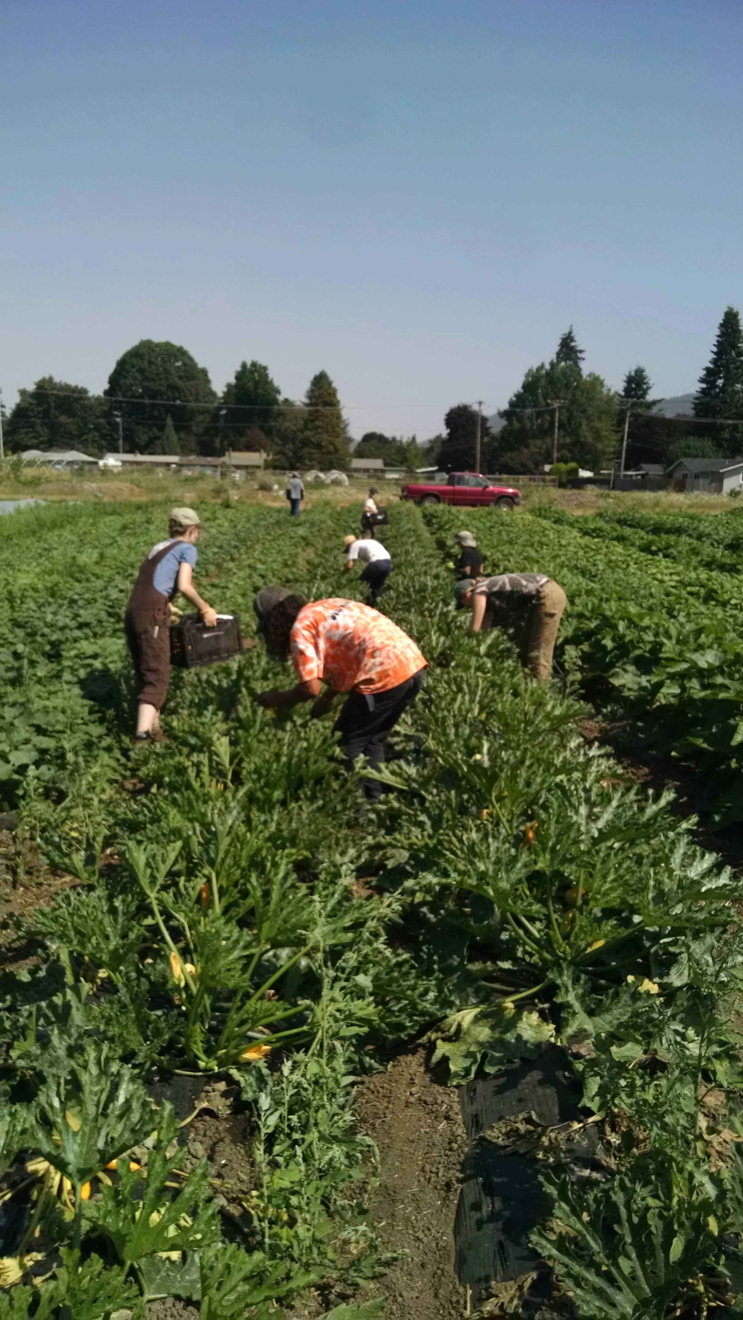The team in the zucchini