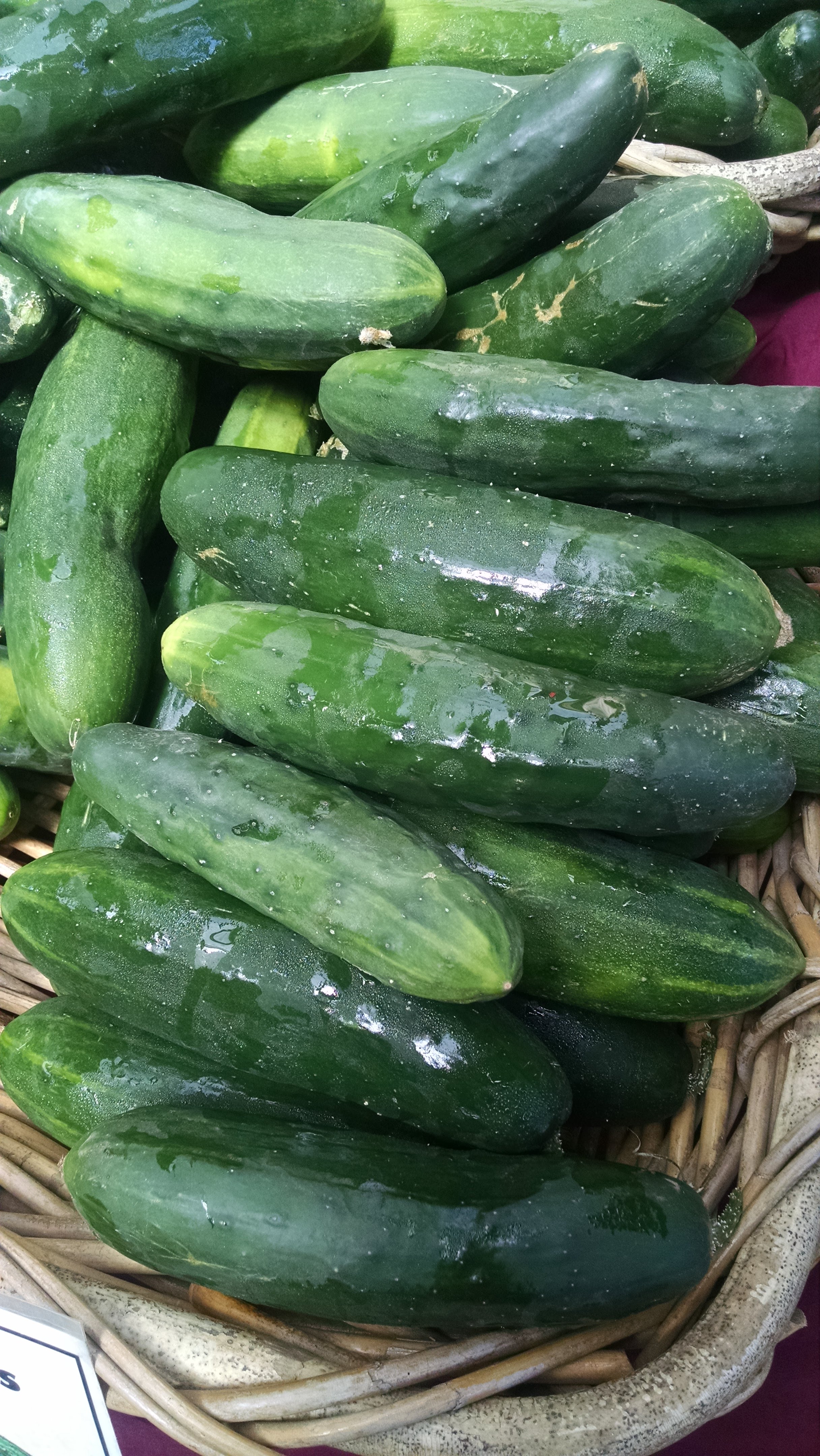Cucumbers finally flowing