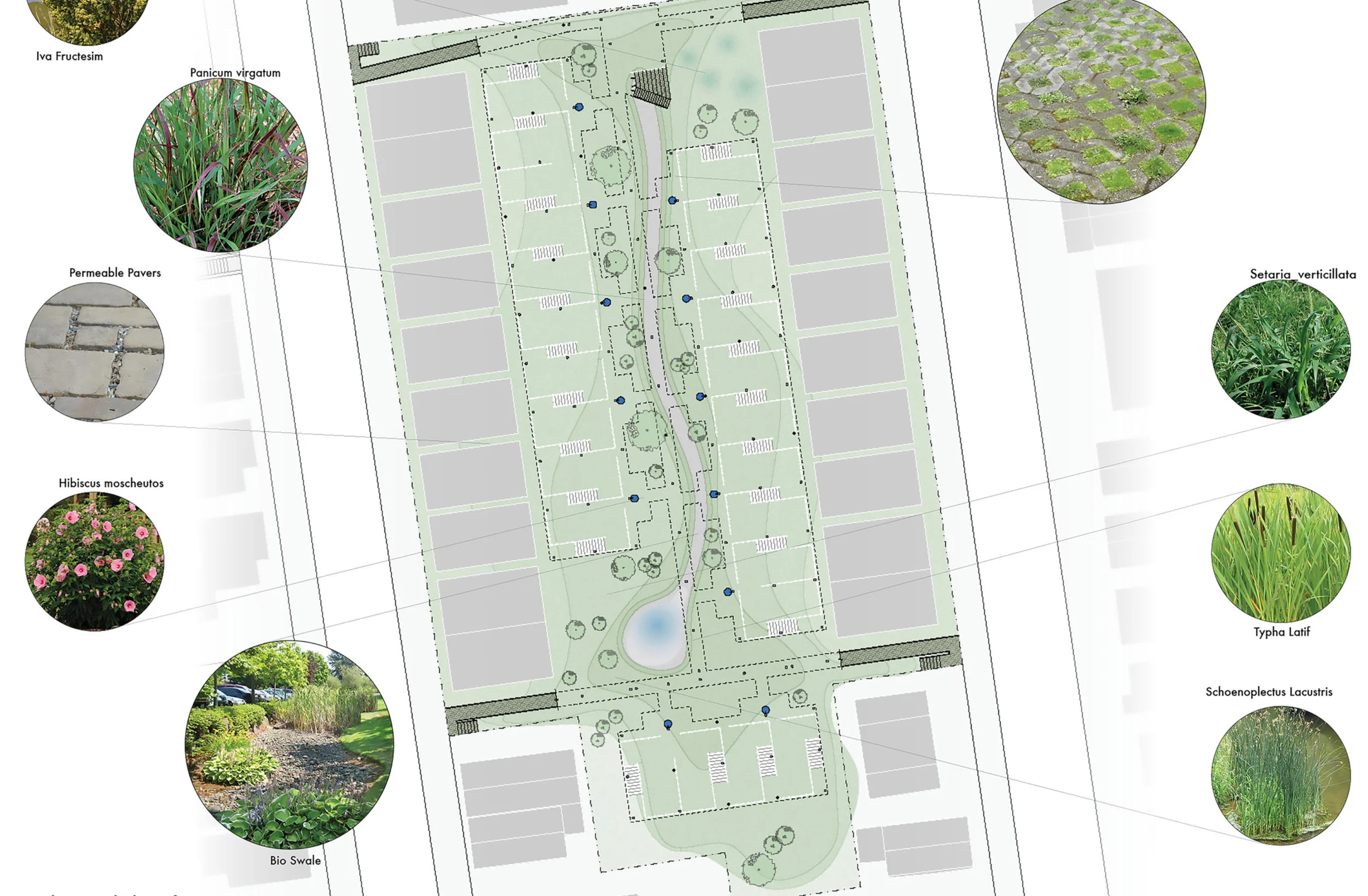 sheepshead plan 4.jpg