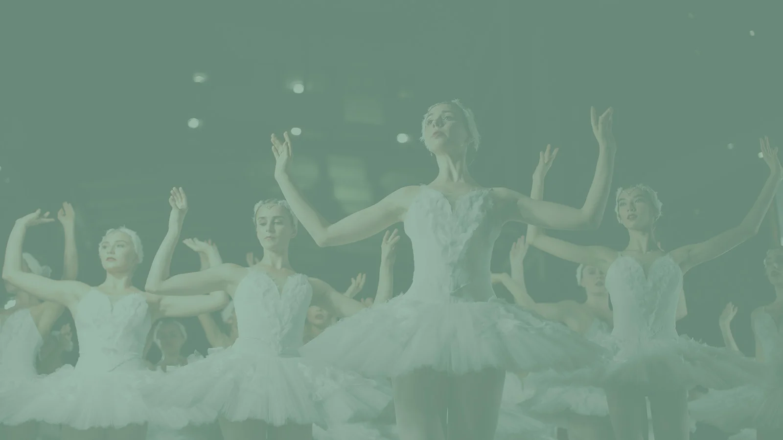 dance.jpg