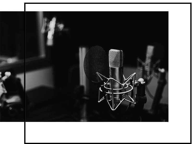 vocal.png