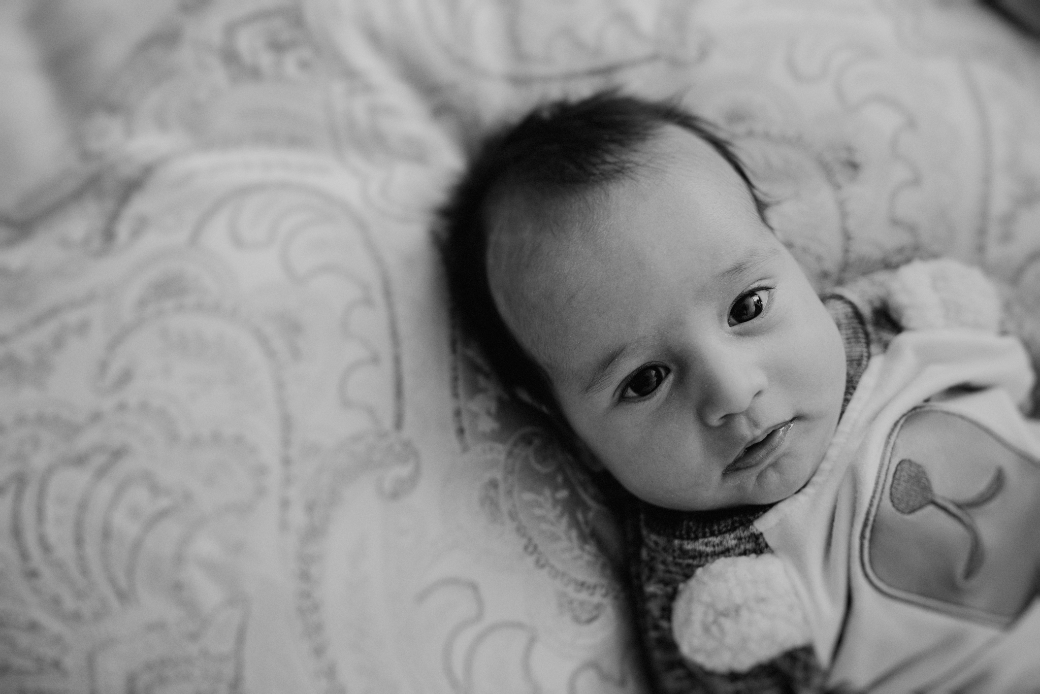 ANNA-SAUZA-FAMILY-SESSION-3-LITTLE-MONKEYS (100).jpg