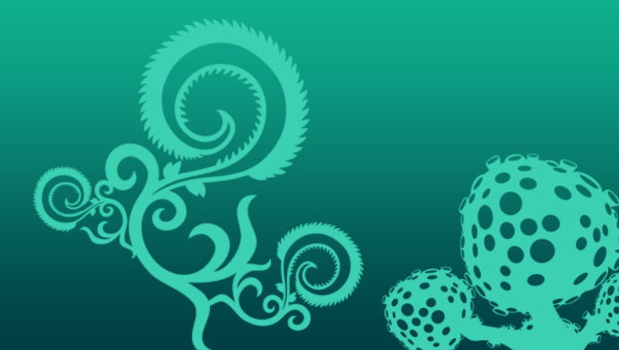 seaweed1.jpg