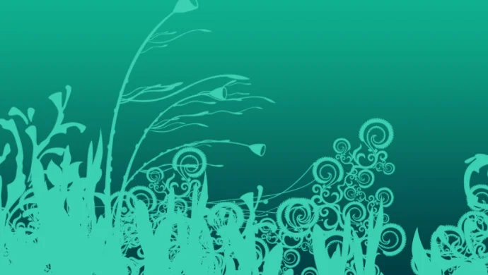 seaweed4.jpg