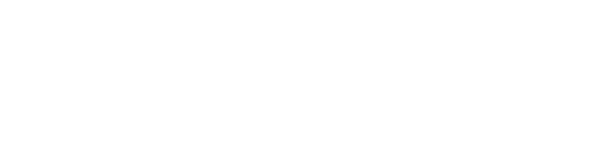 Stiletto-Noir-Logo-White.png