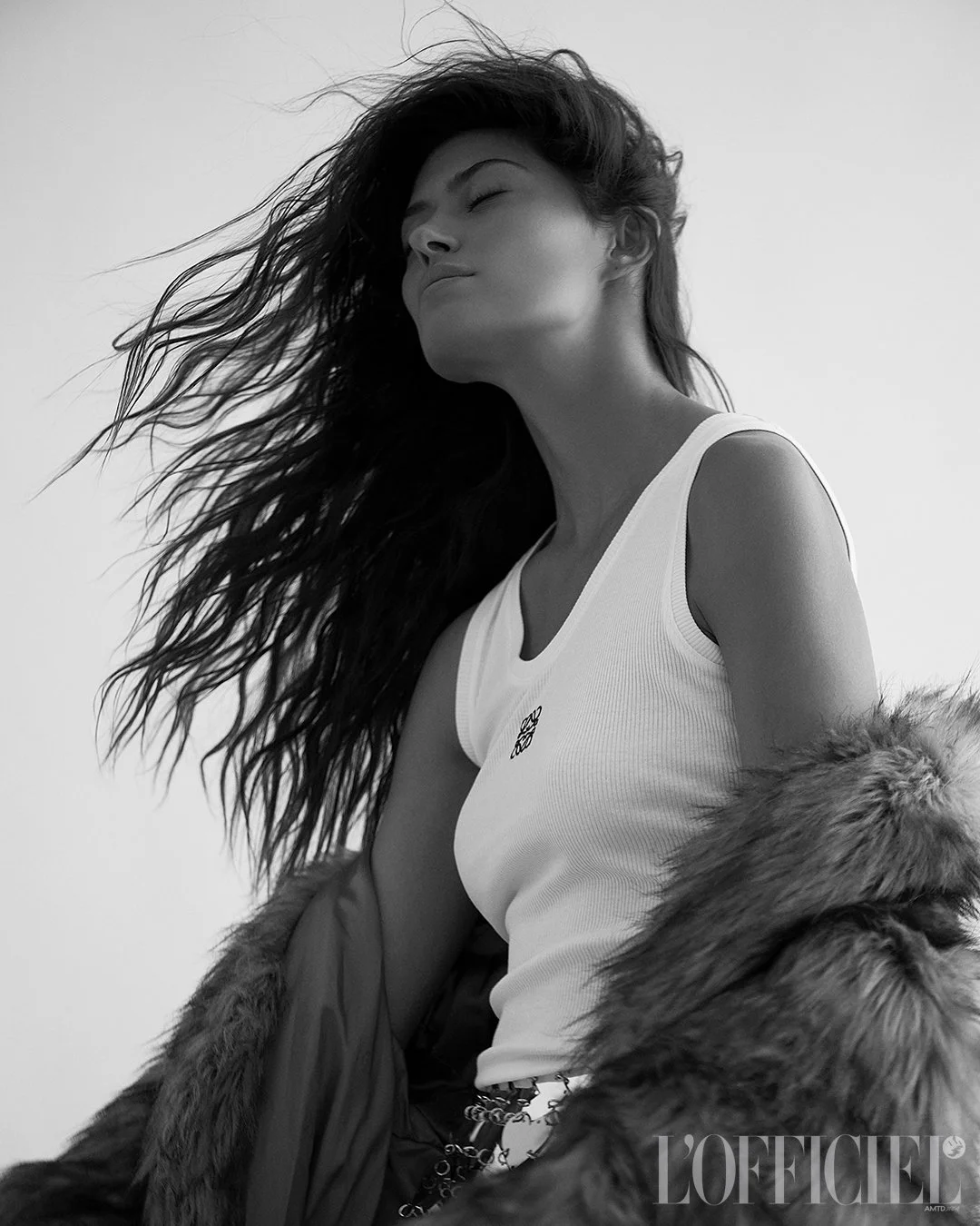 Edit MV_0334_lg.jpg