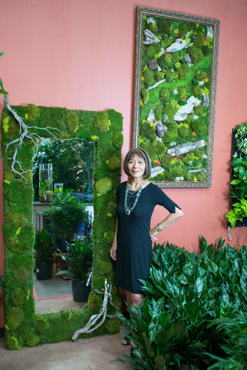 indoor moss wall on Moss Art By Kifumi Keppler Exotic Plants Sacramento