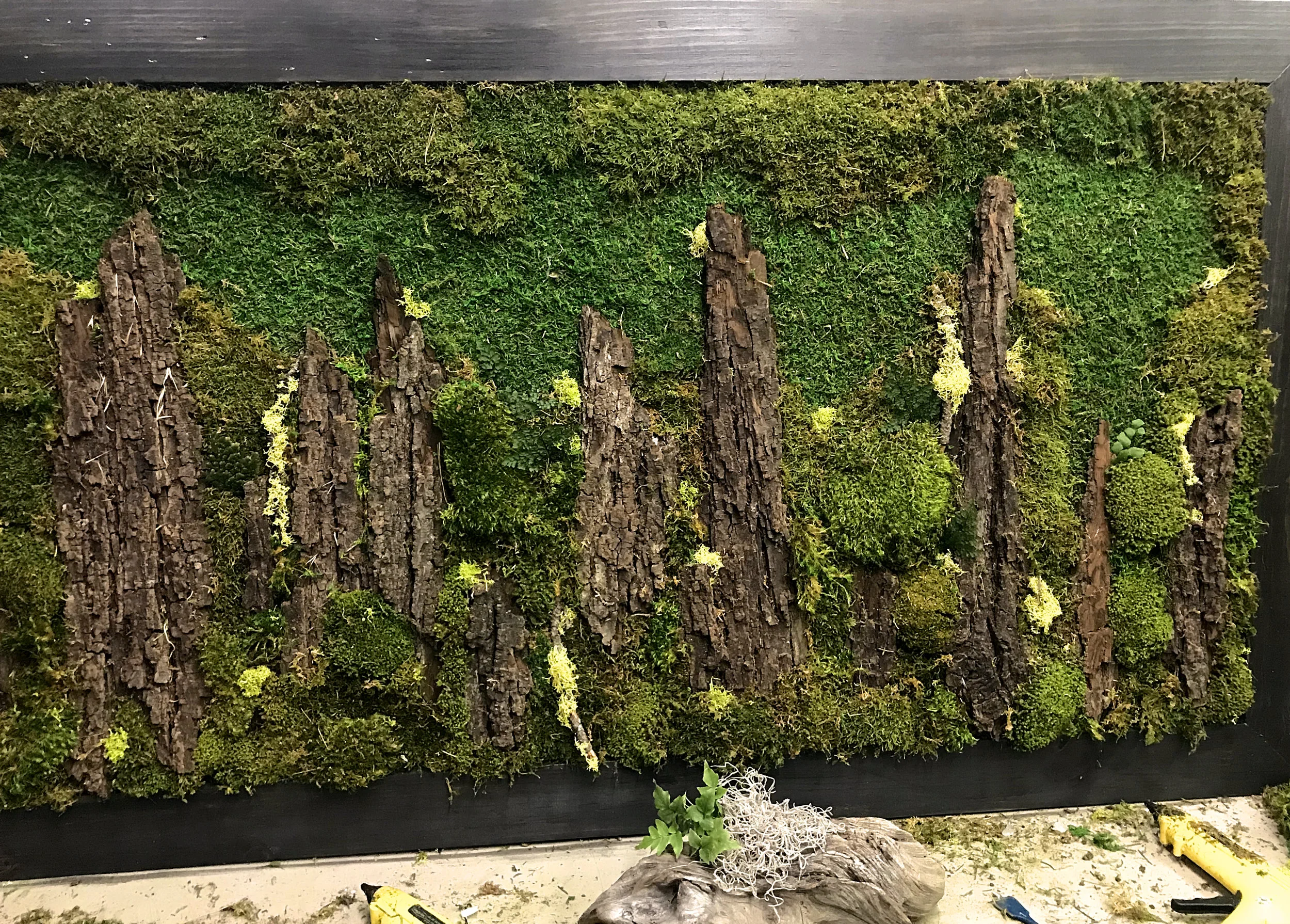 Living Wall Art Exotic Plants Sacramento