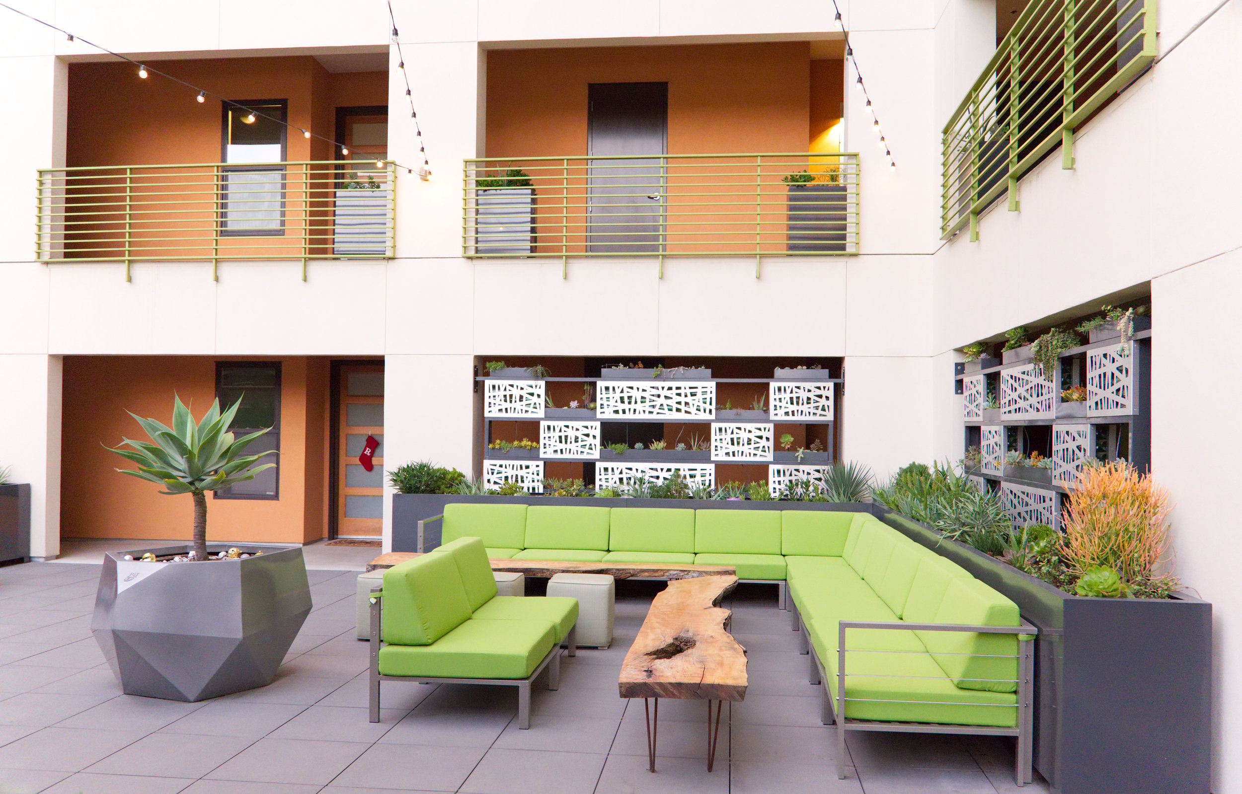 Exotic Plants Sacramento