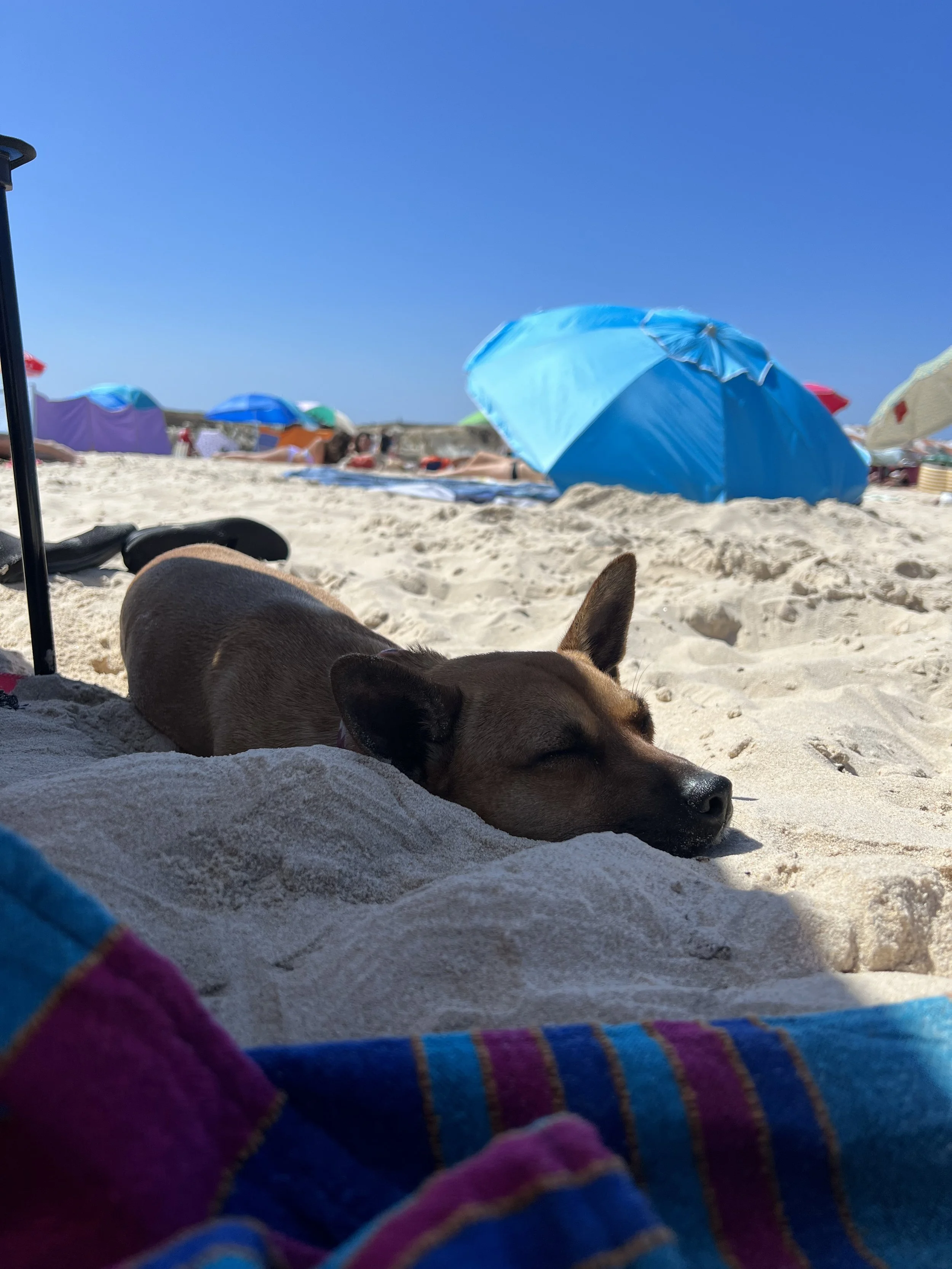 Sybil on the beach in Portugal
