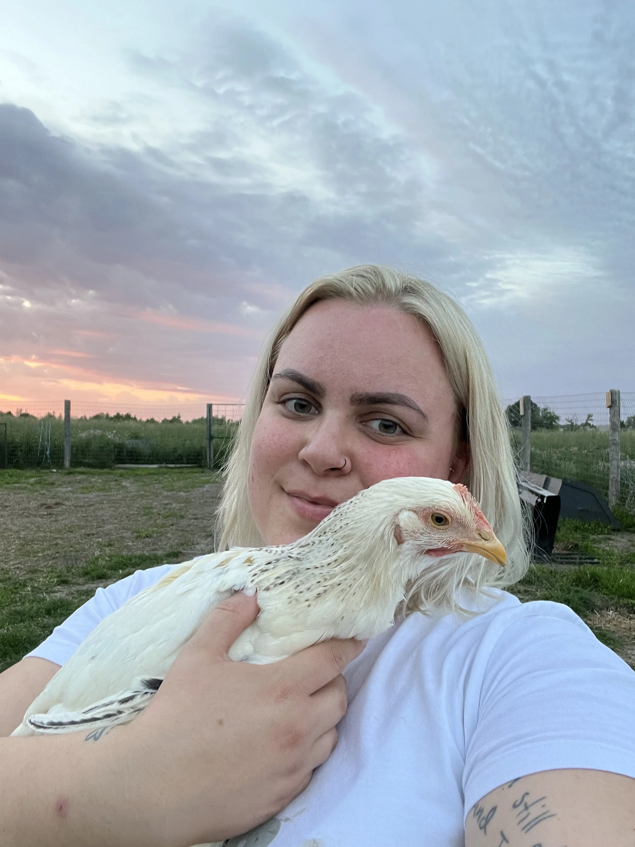 One of my girls decided to take a stroll alone