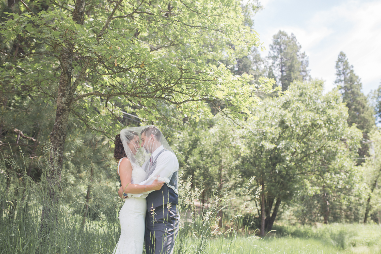 wedding-first-look-sequoia-woods.jpg