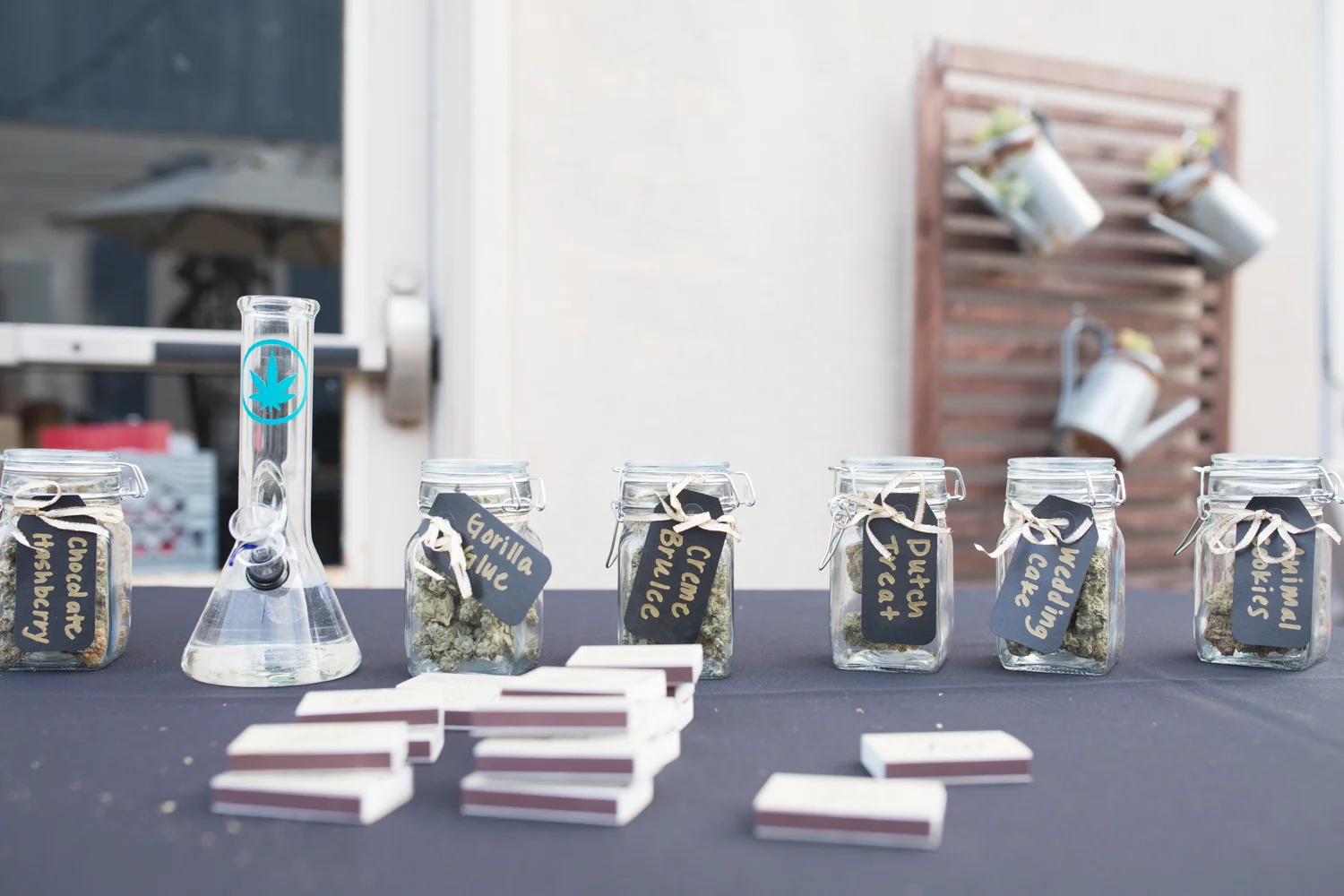 santacruzcannabiswedding_musuemofartandhistorywedding_rooftopcannibisloungesantacruz_marijuanaweddingsantacruz.jpg