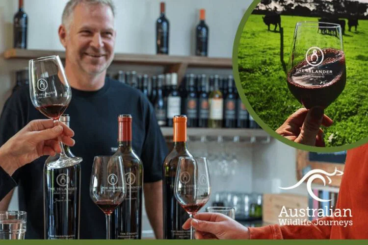 Take a private masterclass with Yale Norris from The Islander Estate Vineyards