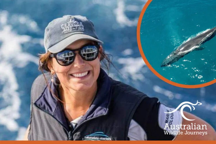 Recording the Behaviour of the Earth’s Largest Creature with Pia Markovic