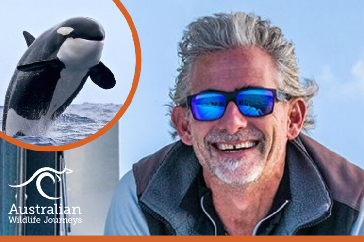 Tracking Orcas at the helm with Captain Dundee