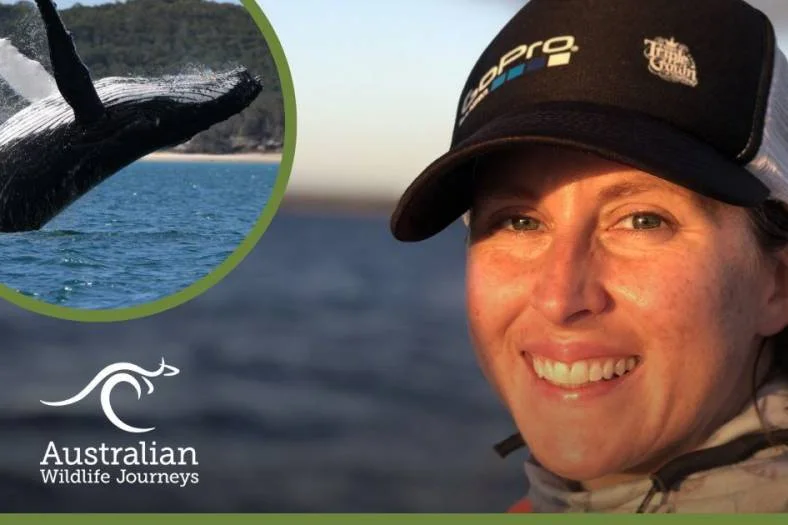 Managing the Largest Humpback Whale Photo Database in Australia with Stephanie Stack
