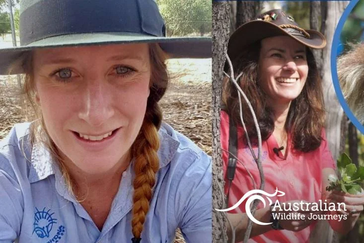 Koala Recovery Experience with Kirby Leary and Janine Duffy