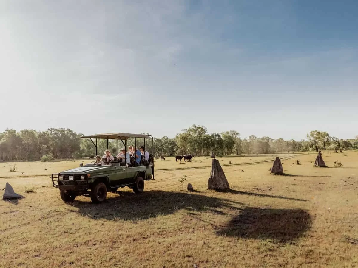6 One-of-a-Kind Overnight Wildlife Experiences in Australia