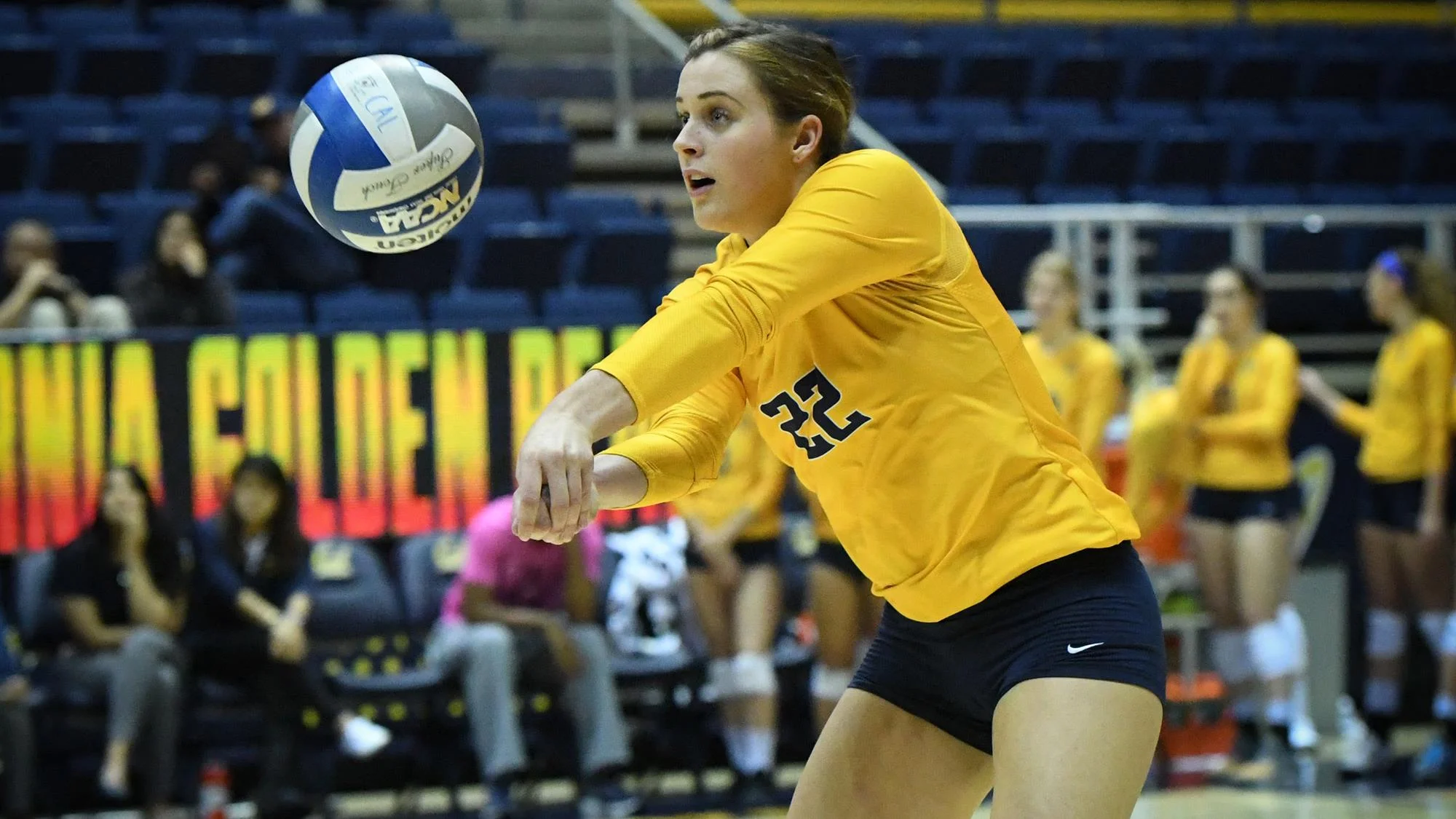 Gallery_Volleyball_2.jpg